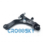 LOWER CONTROL ARM